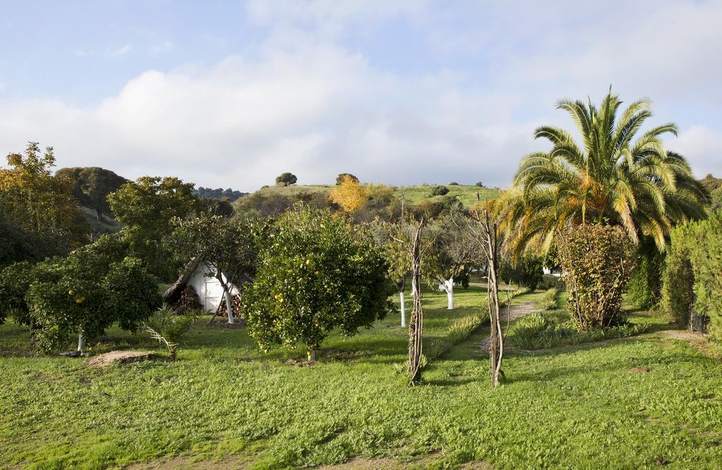 Cuevas Del Pino Turismo Rural Y Emocional Sl Villarrubia Eksteriør bilde