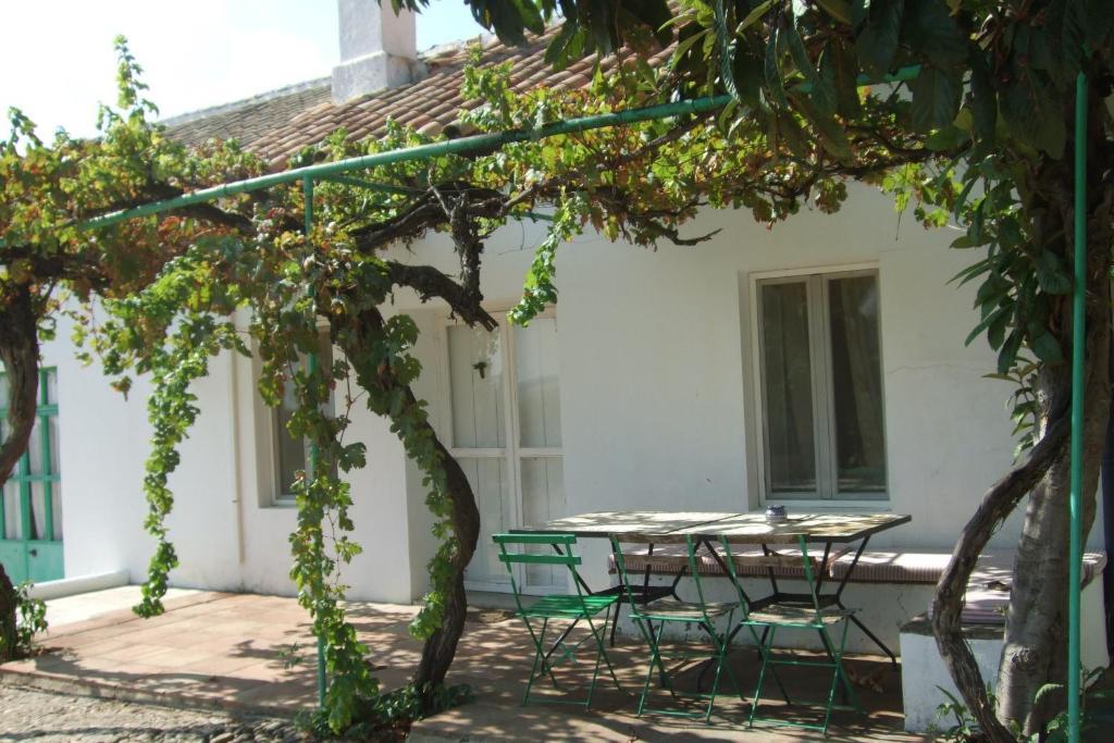 Cuevas Del Pino Turismo Rural Y Emocional Sl Villarrubia Rom bilde